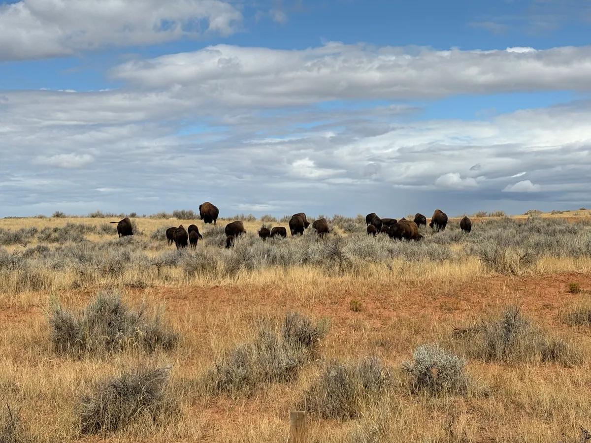 Hot Springs State Park